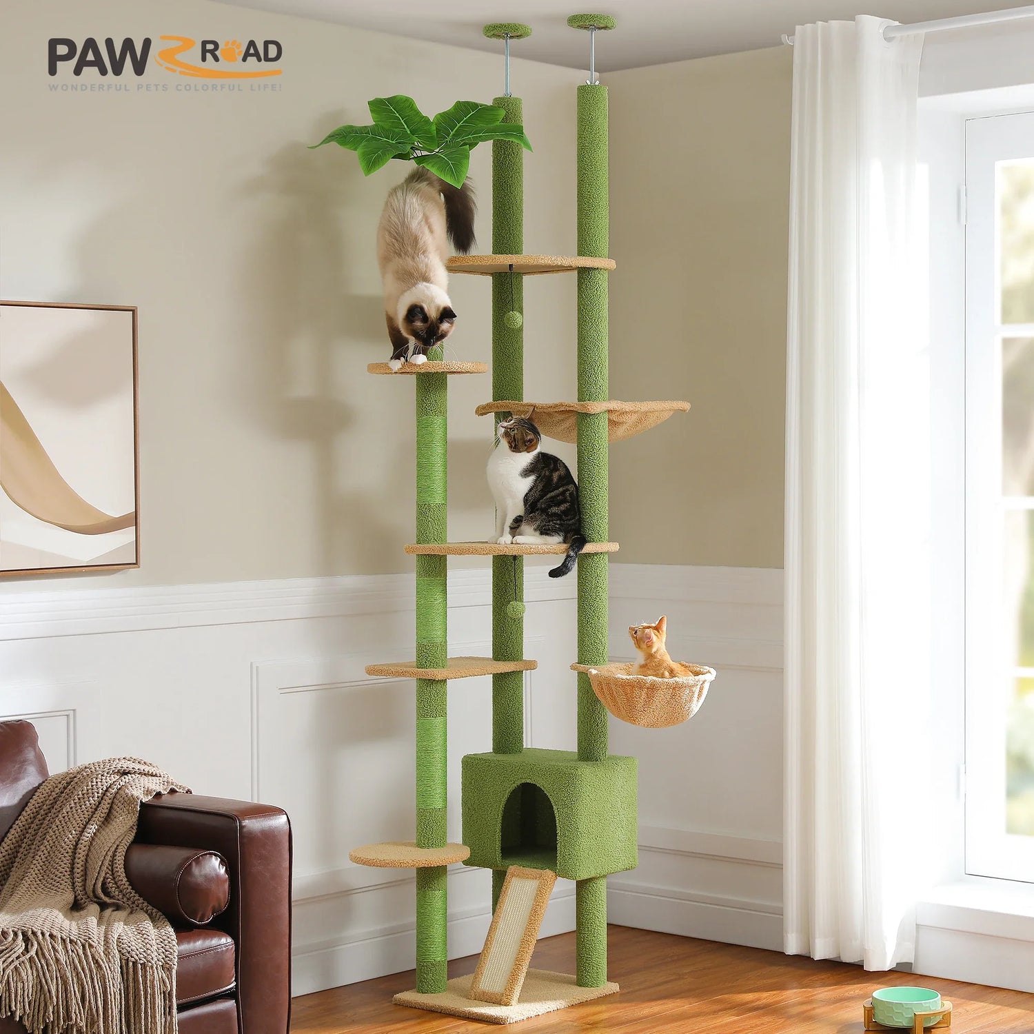 Pet Supplies