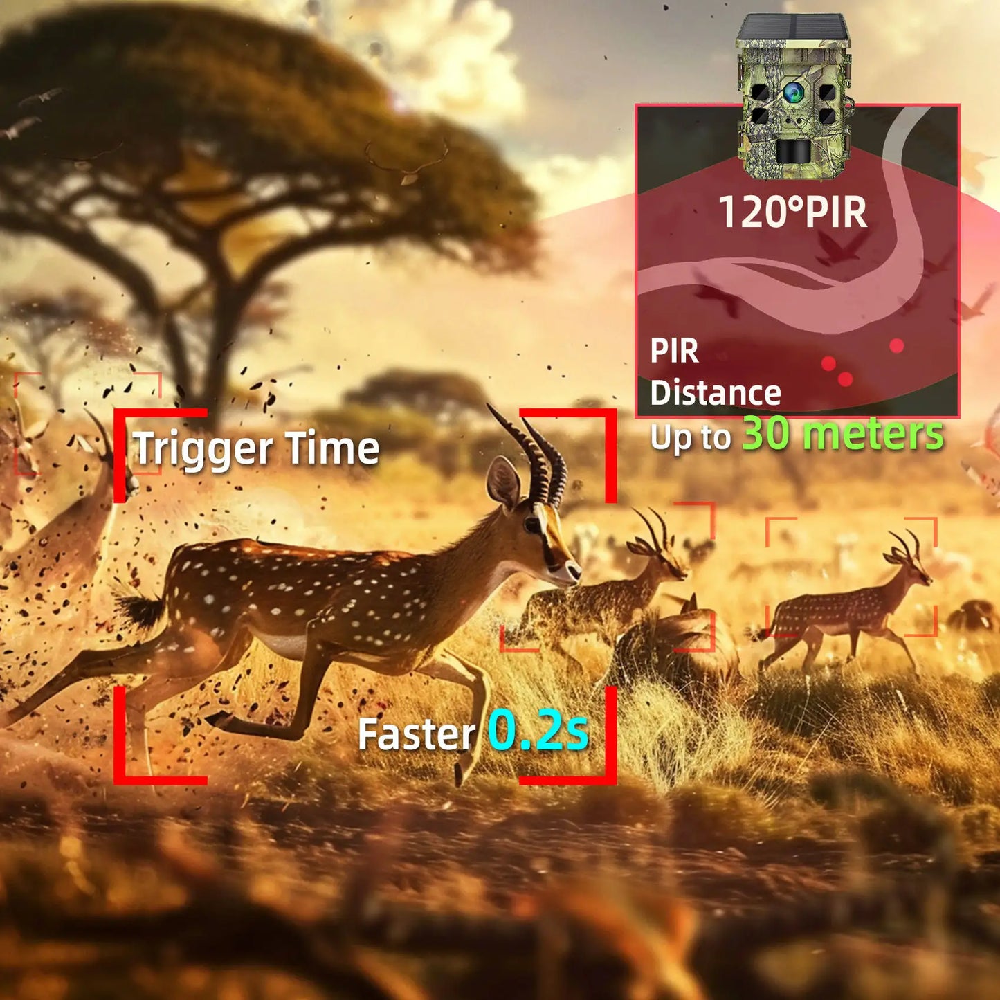 365 Days Solar-Powered Mini Trail Camera Waterproof WIFI APP Wildlife Hunting Camera for Farm Home Safety