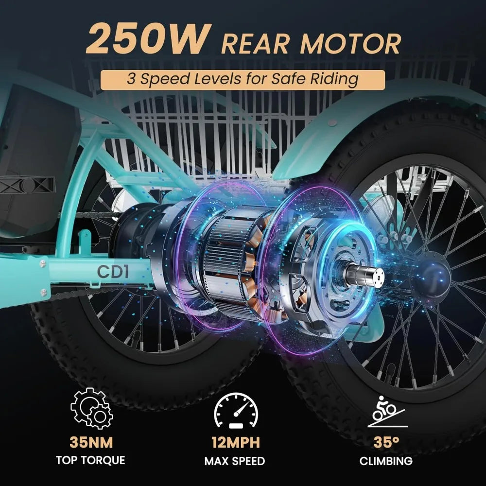 Youth Electric Trike 250W Three-Wheel Fat Tire Aluminum Frame