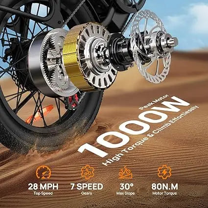 URLIFE E20 1000W Electric Bike With Dual Disc Brakes