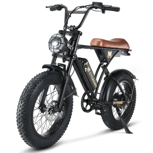 Cycrown RUN adult E-bicycle 750W electric bicycle 36V 10.4Ah dual battery, 20-inch fat tire off-road E-Mountain bike