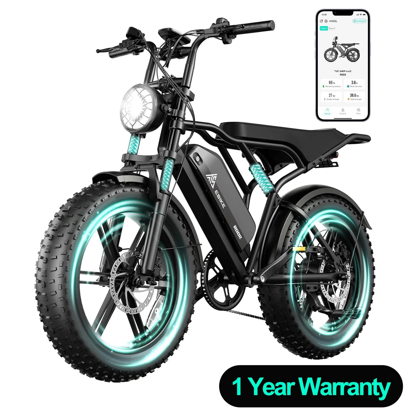 TS TST GRP LLC TST R002 1500W Electric Mountain Bike