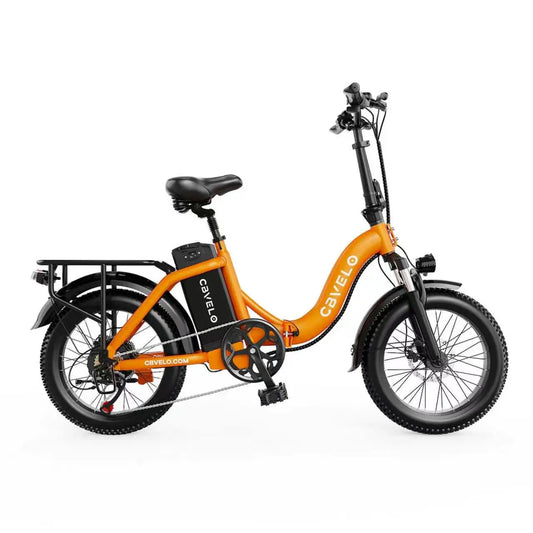 1000W Peak 20" Fat Tire Foldable Electric Bike, 48V 20Ah Removable Battery, All Terrain Adult Commuter Ebike Cybervelo Mars700