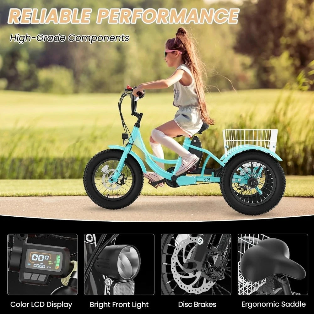 Youth Electric Trike 250W Three-Wheel Fat Tire Aluminum Frame