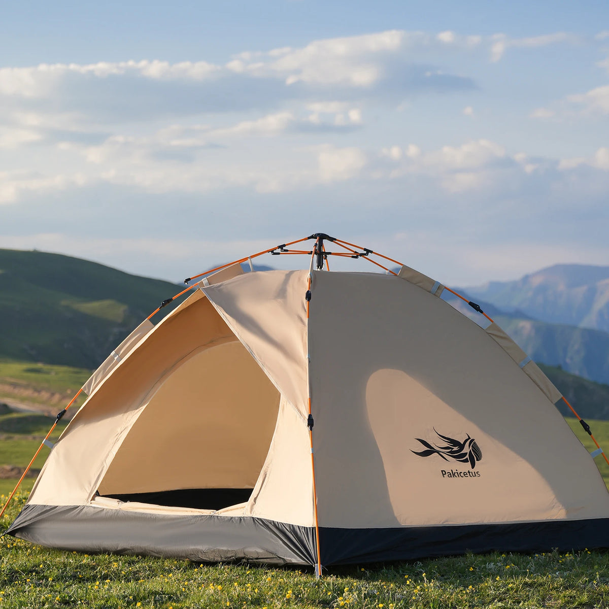 Pakicetus Instant Pop Up Camping Tent With Easy Setup Portable Shelter