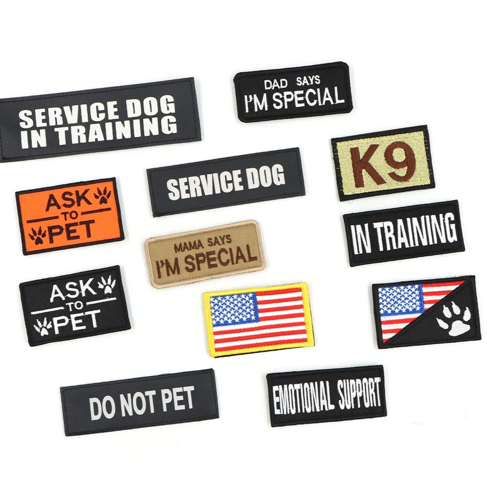 Professional Dog Harness Vest Set With Collar Leash And Patches