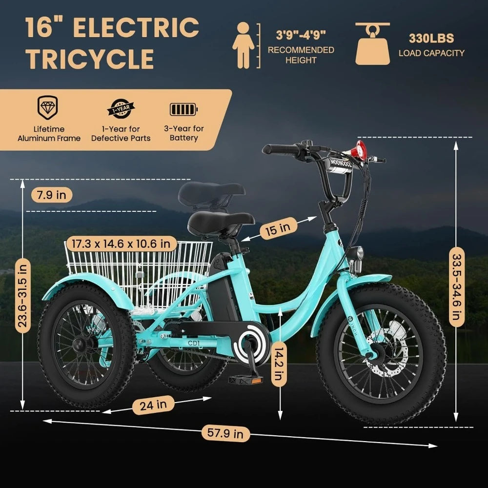 Youth Electric Trike 250W Three-Wheel Fat Tire Aluminum Frame